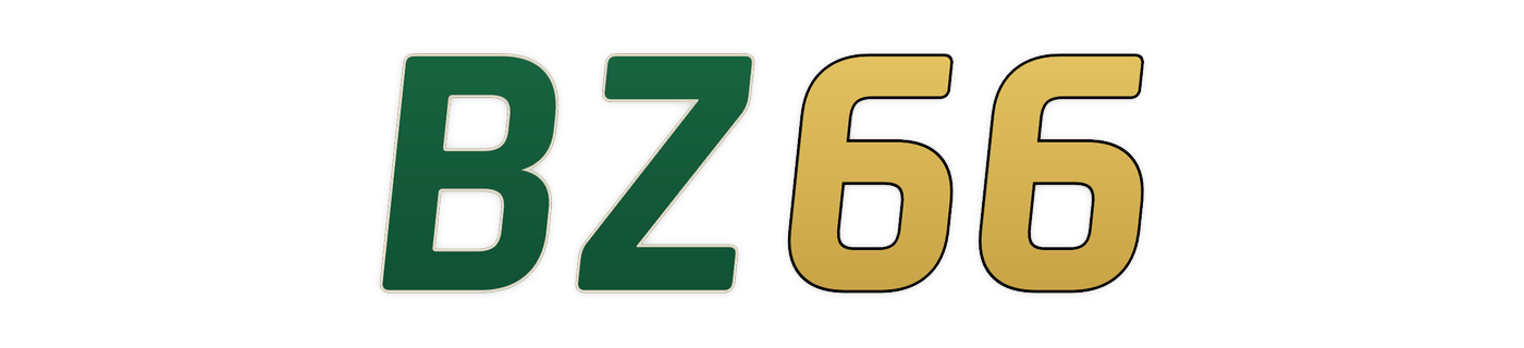 bz66 logo